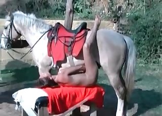 Leggy babe takes horse's huge cock