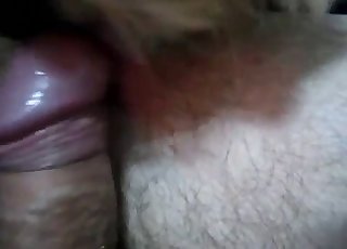 Dude cannot wait to fuck that animal