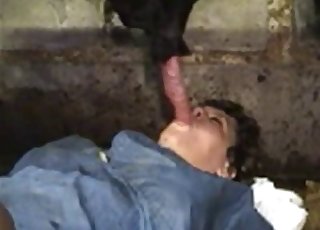 Fat old female is sucking a pig dick