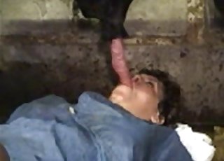 Fat old female is sucking a pig dick