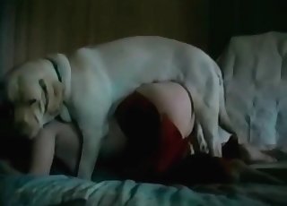 White doggy fucking my wife from behind