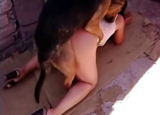 Black dog fucked her crack from behind