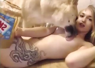 Flat-chested blonde cums with dogs