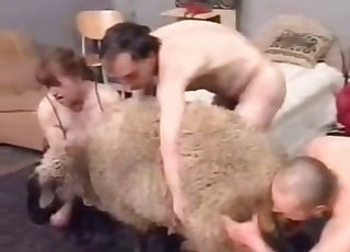 Sheep fucked hard by perverted as fuck zoofil