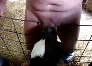 Innocent lamb is sucking my dick with love