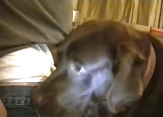 Dude fucking this slutty-ass doggy