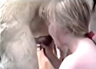 Blonde doll sucked her own trained doggy