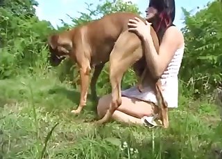 Outdoor bestial porn with a big trained doggy