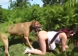 Outdoor bestial porn with a big trained doggy