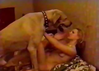 Remarkable mutt humped hooker's wet hole with force