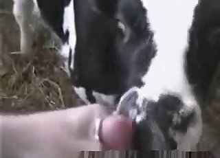 14 Altyazılı Porno Kumar Vulgar