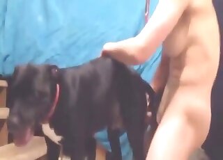 Dude with a nice cock fucks a slutty beast deep