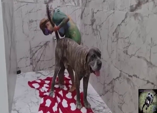 Attraktive Frau wird von einem geilen Hund gefickt