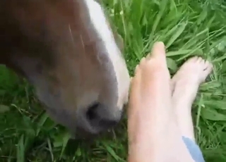 Bestiality porn + foot fetish mix, so fucking good