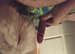 Dude's boner gets licked by a mutt in a hot vid