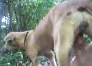 Crazy hot zoophilic experience with a sexy dog