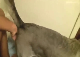 Tight hole bitch is going to get drilled so good