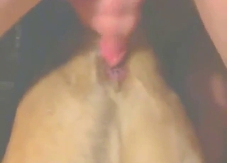 Dog's pussy getting terrorized by a horny guy