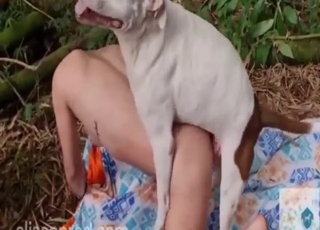 Zoo porn shows a white dog blasting her ass
