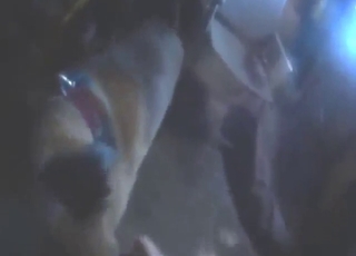 Keep fucking that beast to find out how hot It is