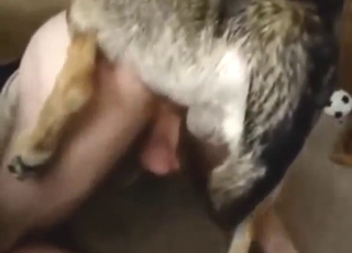 Good-looking dude lets this beast blast his ass