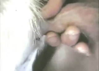 Great goat fuck experience with a hard dude