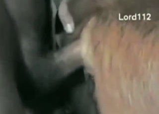 Oversized cock training that beast's hot hole