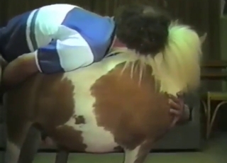 Zoo sex with a slutty guy who fucks horses