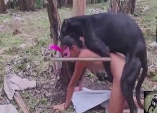 Videoclip di Zoo XXX con cani che scopano donne