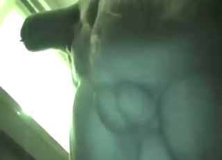 For naughty dog like that, it's a great experience