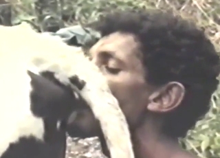 Zoo porn highlights, incl. two girls savoring cum