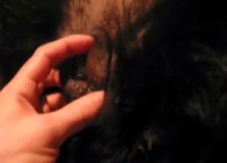 Zoo XXX with a mutt ready to get fingered