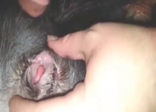 Kerel met een lekkere stijve lul neukt het strakke gaatje van een hond