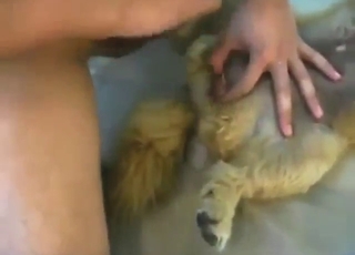 White man with a hard cock fucks a slutty dog