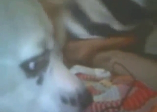 Dude with grabby hands wants to fuck a beast