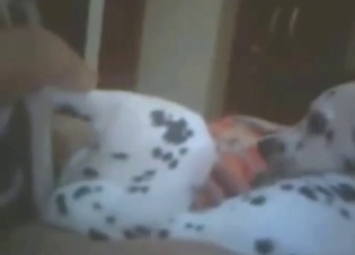 Dude with grabby hands wants to fuck a beast