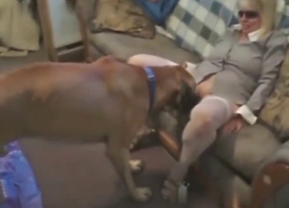 Blonde MILF in weißen Strümpfen fickt einen braunen Hund
