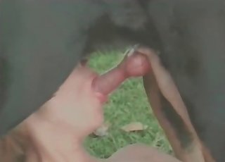 Pair of sluts are giving oral to a nasty doggo