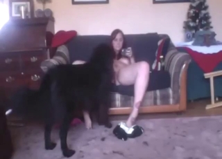 Bestiality sex with two animals that fuck around