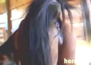 mare love with lots of fisting, real orgasms