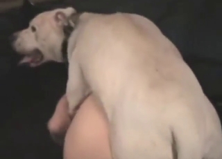 Mature and sexy-looking bitch takes DOG dick