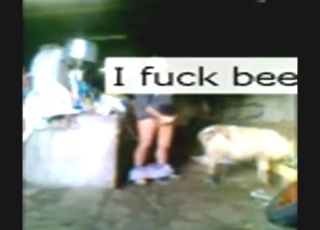 Poor quality video showing a big dick sheep fucker