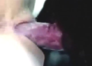 Round booty lady is going to take big dog dick