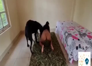 Milf