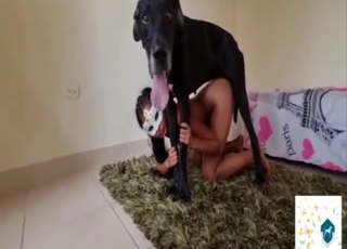 Brunette MILF griper tak i hunden for å la den stirre henne hardere