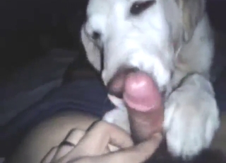 Sexy animal takes a lick and enjoys his dick