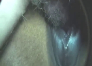 Totally perfect mare gets dicked from behind