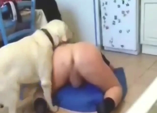 Bitch