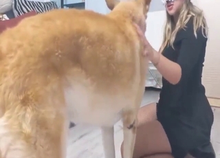 狂った獣性愛の女性がセクシーな獣とセックスする