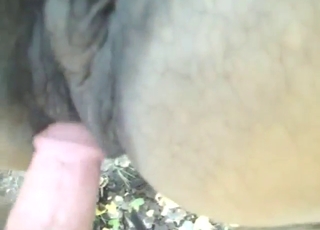 Hot banging session with a guy who loves dog D